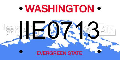 IIE0713 Washington License Plate