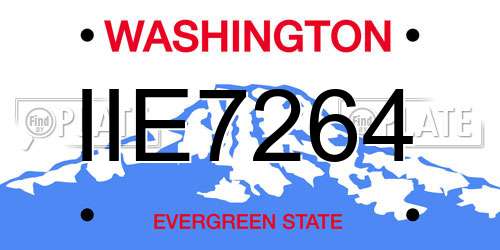 IIE7264 Washington License Plate