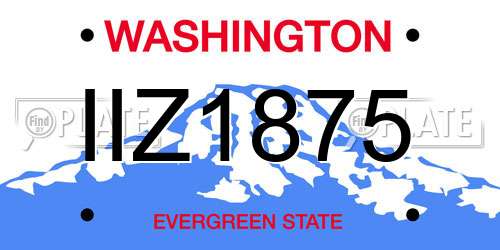 IIZ1875 Washington License Plate