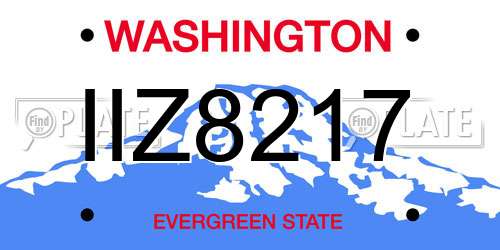 IIZ8217 Washington License Plate