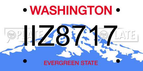 IIZ8717 Washington License Plate