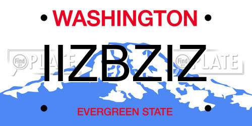 IIZBZIZ Washington License Plate