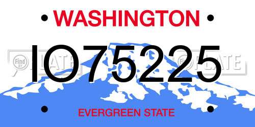 IO75225 Washington License Plate