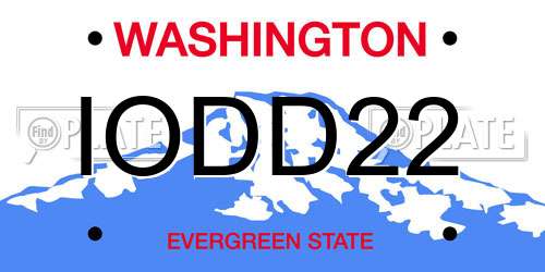 IODD22 Washington License Plate