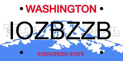 IOZBZZB Washington License Plate