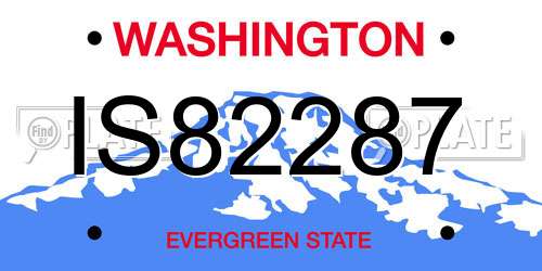 IS82287 Washington License Plate