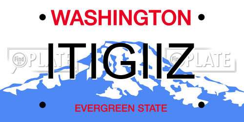 ITIGIIZ Washington License Plate