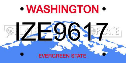 IZE9617 Washington License Plate