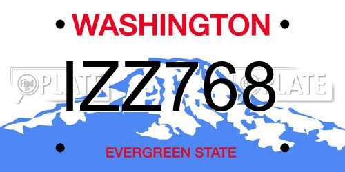 IZZ768 Washington License Plate