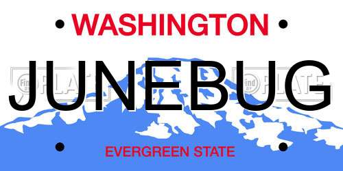 JUNEBUG Washington License Plate