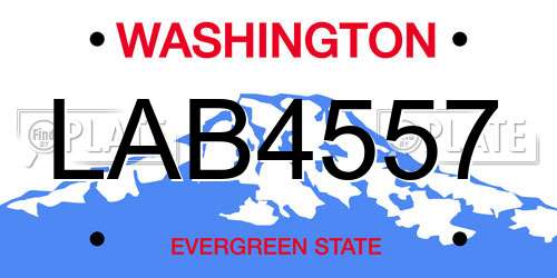 LAB4557 Washington License Plate