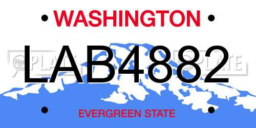 LAB4882 Washington License Plate