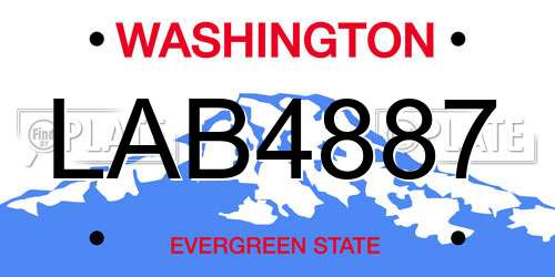 LAB4887 Washington License Plate