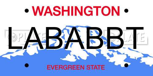 LABABBT Washington License Plate