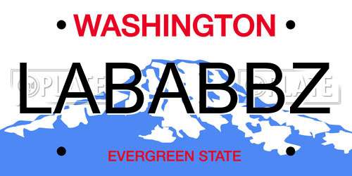 LABABBZ Washington License Plate