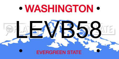 LEVB58 Washington License Plate