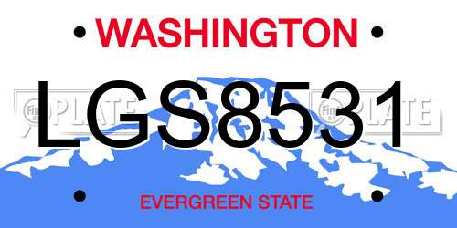 LGS8531 Washington License Plate
