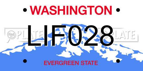 LIF028 Washington License Plate
