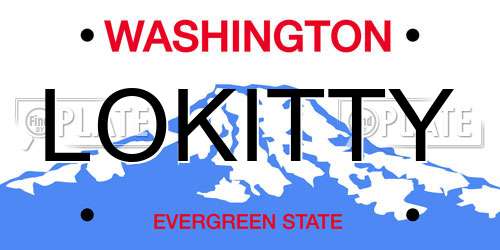 LOKITTY Washington License Plate