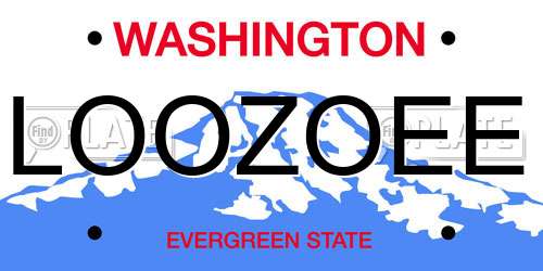 LOOZOEE Washington License Plate