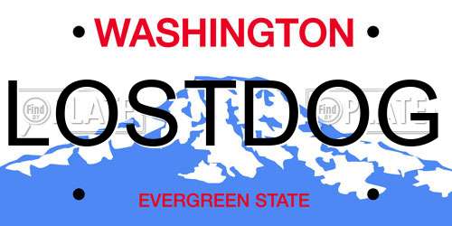 LOSTDOG Washington License Plate