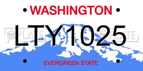 LTY1025 Washington License Plate