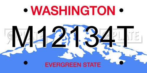 M12134T Washington License Plate