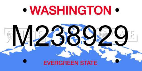 M238929 Washington License Plate