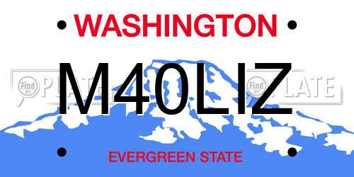 M40LIZ Washington License Plate