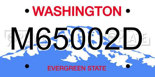 M65002D Washington License Plate