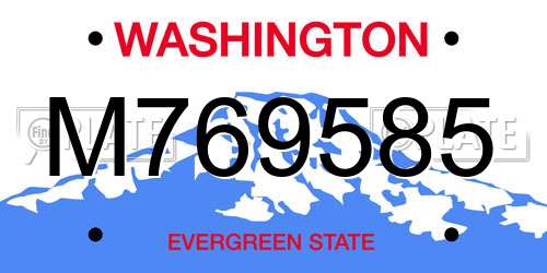 M769585 Washington License Plate