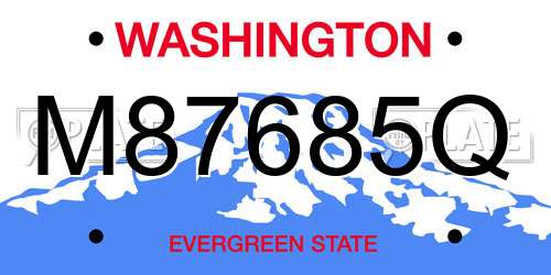 M87685Q Washington License Plate