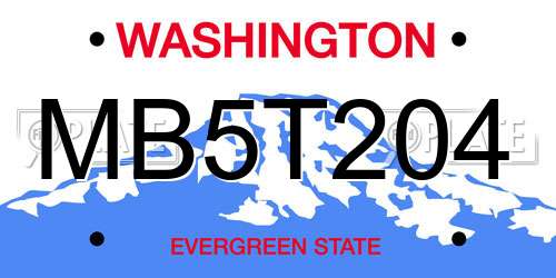 MB5T204 Washington License Plate