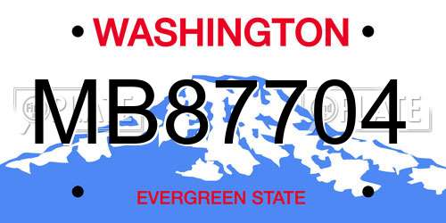 MB87704 Washington License Plate