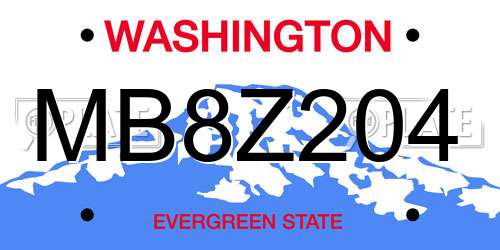 MB8Z204 Washington License Plate