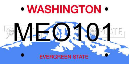 MEO101 Washington License Plate