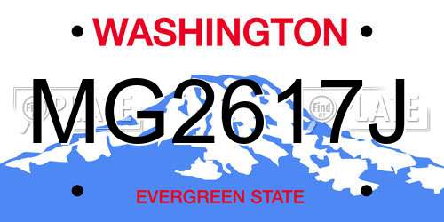 MG2617J Washington License Plate