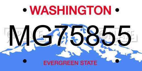 MG75855 Washington License Plate