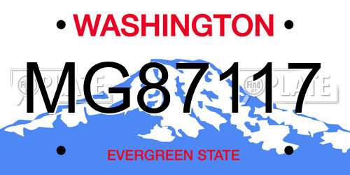 MG87117 Washington License Plate