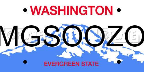 MGSOOZO Washington License Plate