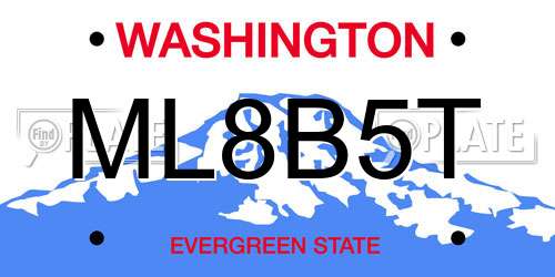 ML8B5T Washington License Plate