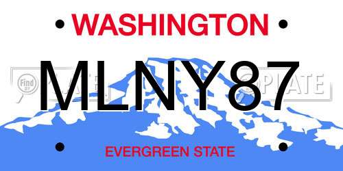MLNY87 Washington License Plate