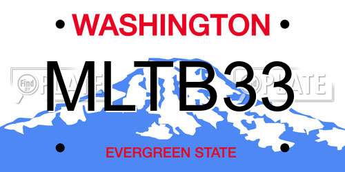 MLTB33 Washington License Plate