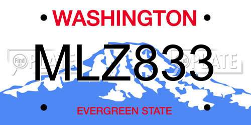 MLZ833 Washington License Plate