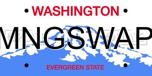MNGSWAP Washington License Plate