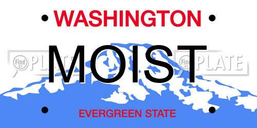MOIST Washington License Plate