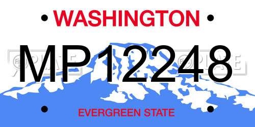 MP12248 Washington License Plate