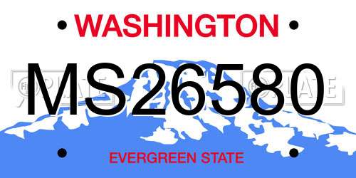 MS26580 Washington License Plate