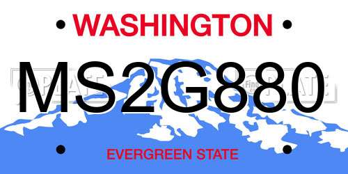 MS2G880 Washington License Plate