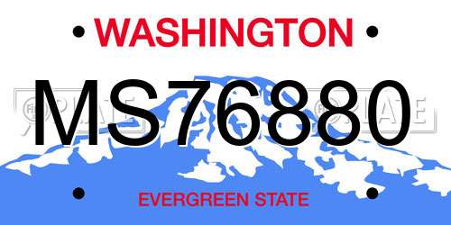 MS76880 Washington License Plate